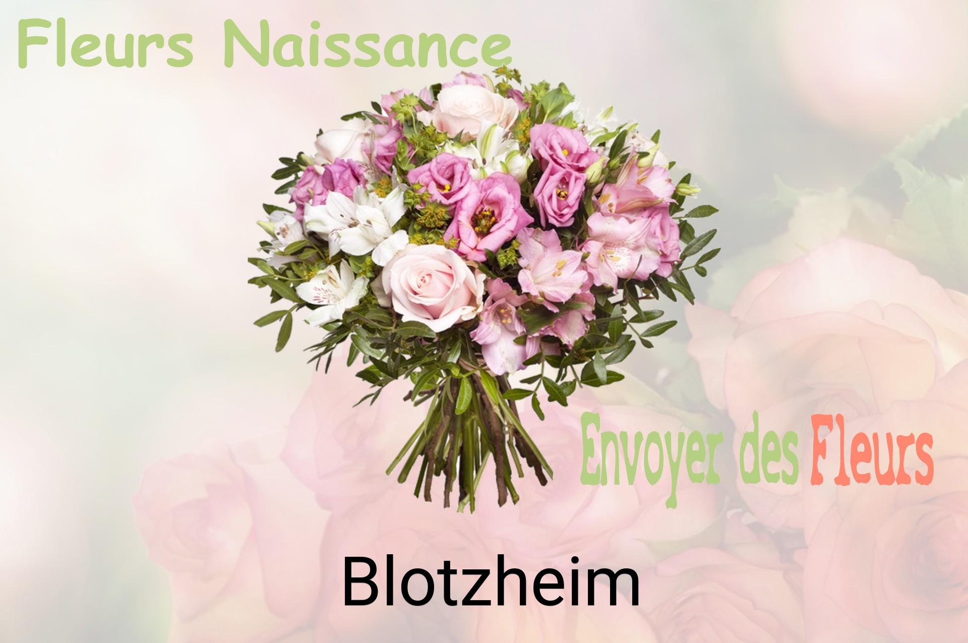 Bouquet de fleurs de naissance livré à Blotzheim